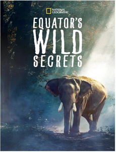 懂爱后纪总的刀拿不稳了